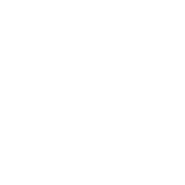 Architectural Development