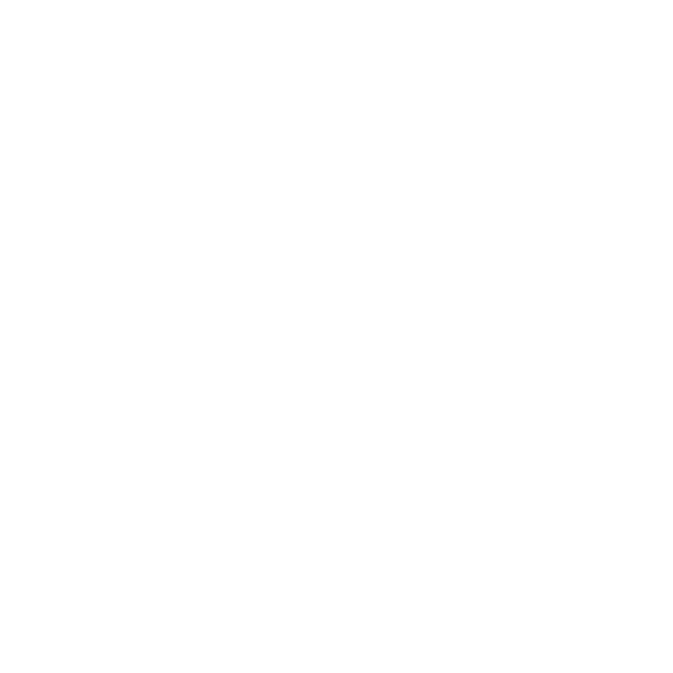 Augmented Reality